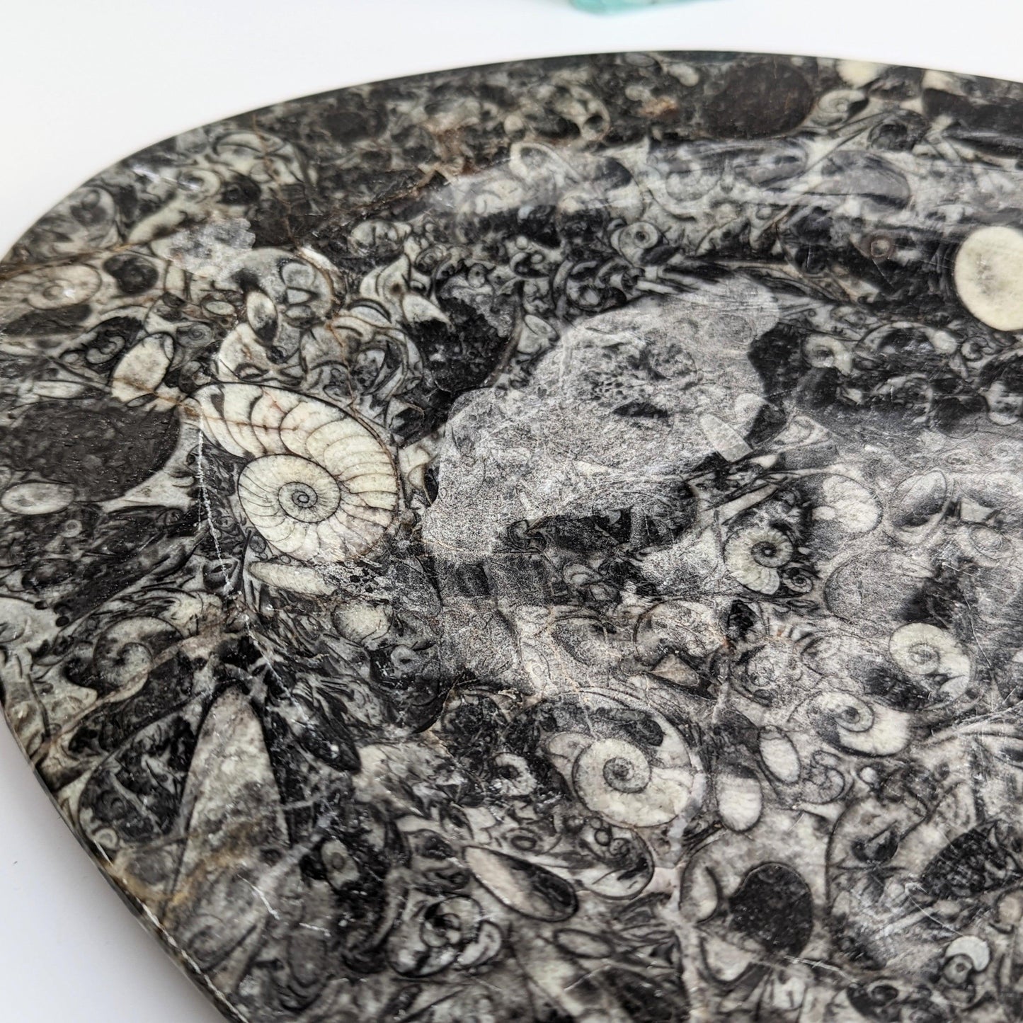 Stone Fossil Platter