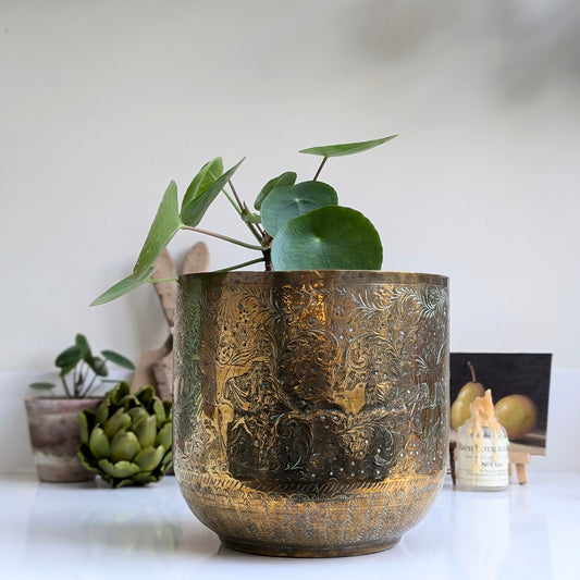 Stunning Brass Plant Pot (Large)