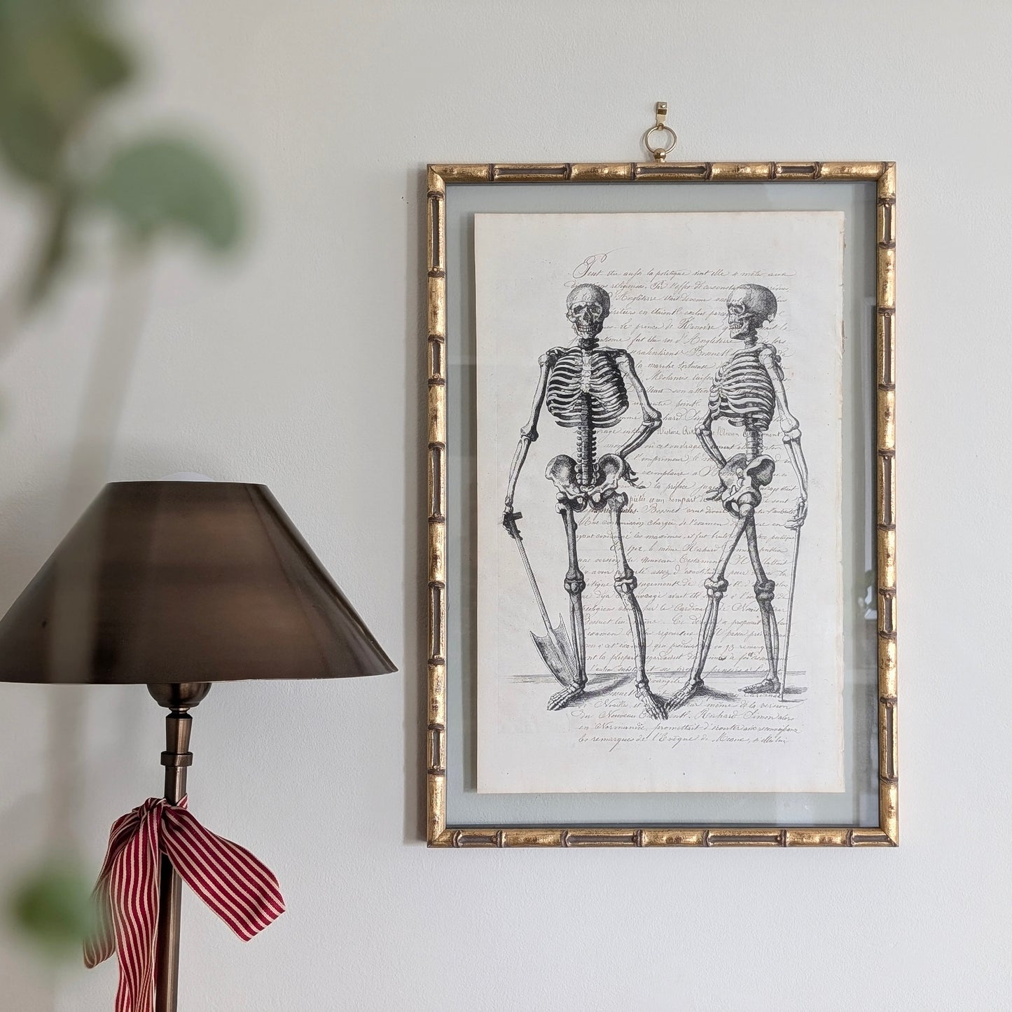 Framed Skeleton Antique Pages - Bamboo (3 styles)