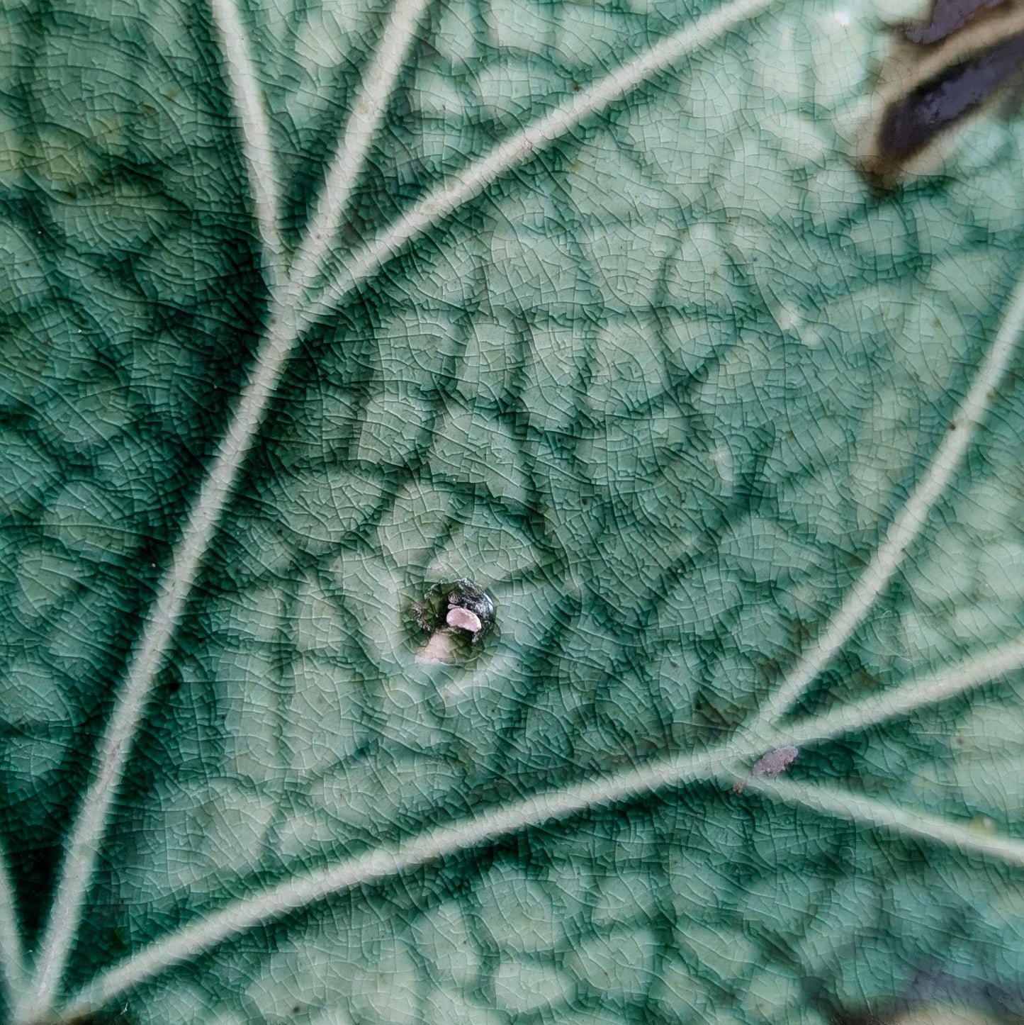 Majolica Vine and Strawberries Plate