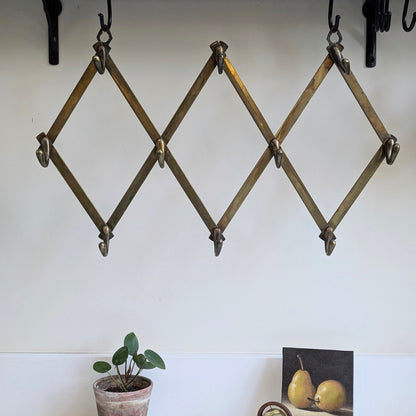 Stunning Brass Accordion Style Coat Rack