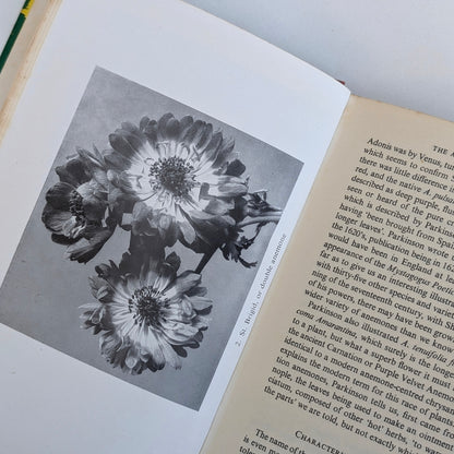 Vintage 1960s Anemones Book by Roy Genders
