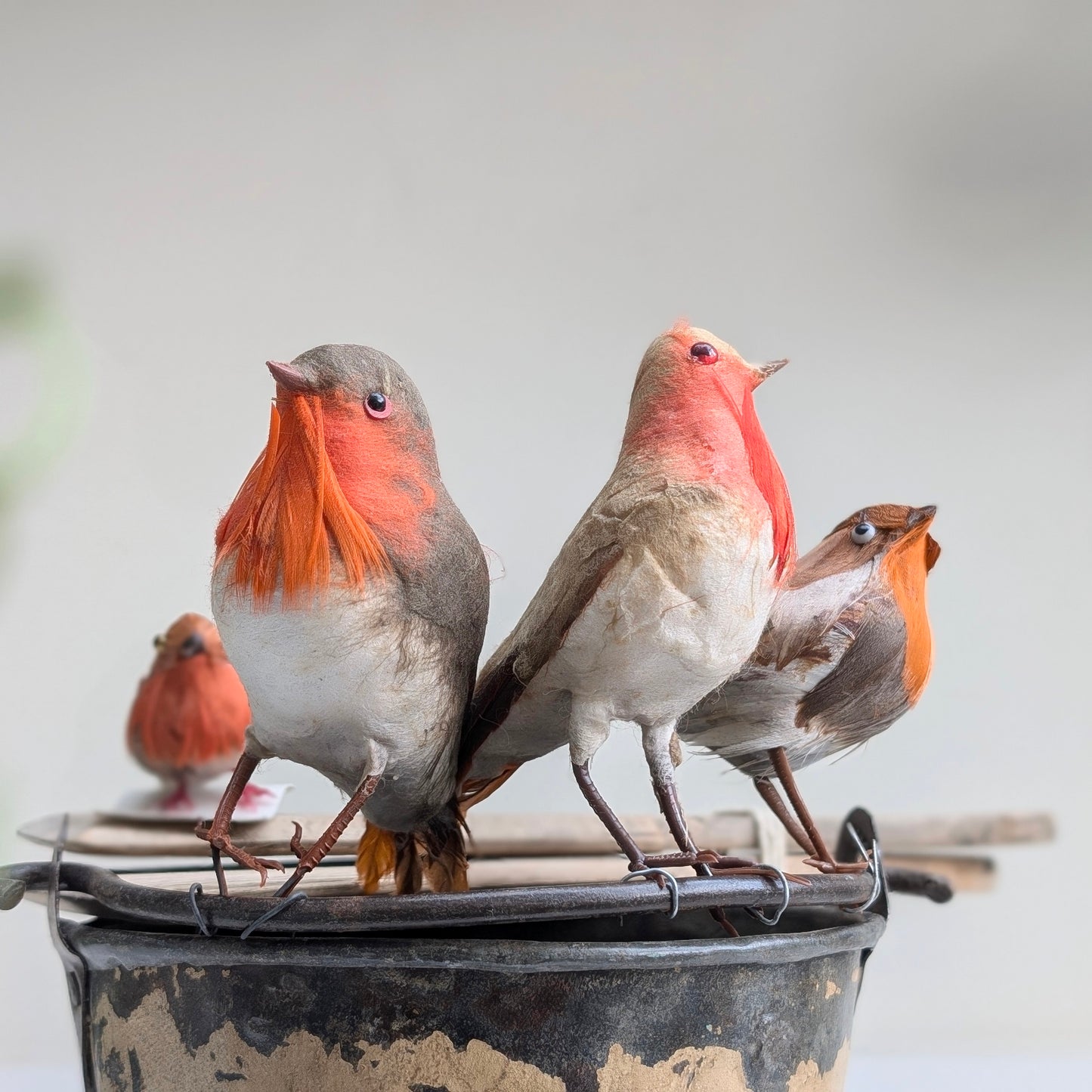 Four Robin Tree or Wreath Decorations