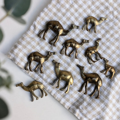 Brass Camel Set (9)