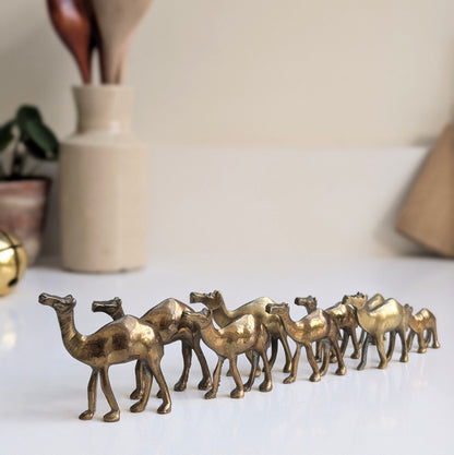 Brass Camel Set (9)