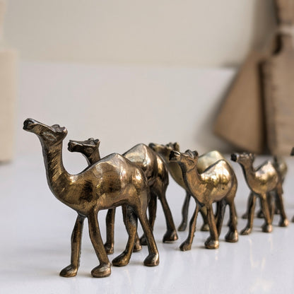 Brass Camel Set (9)