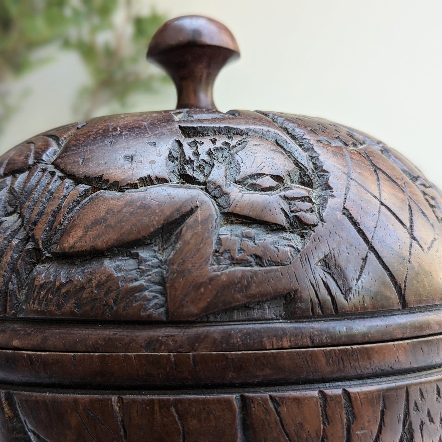 Blackwood African Pot