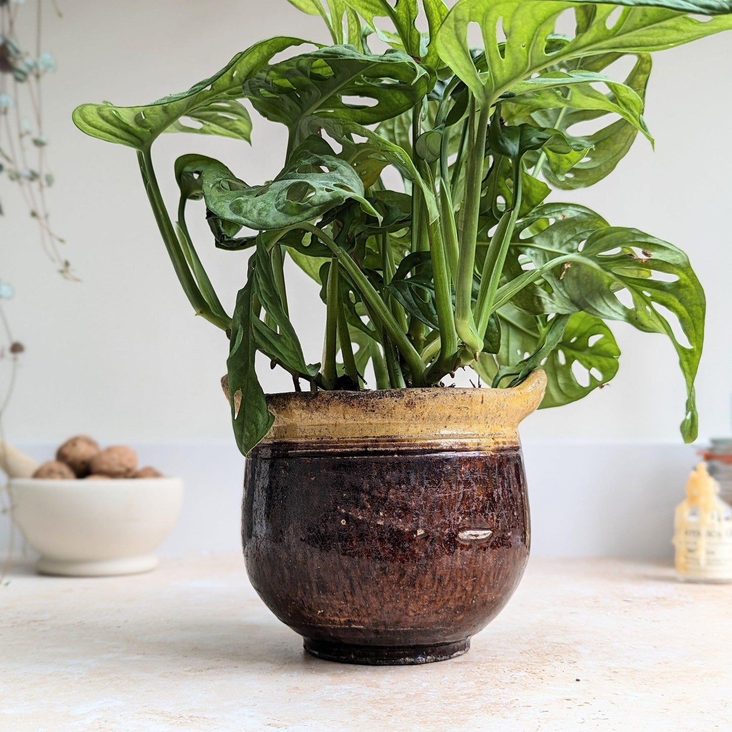 Rustic Purple/Brown and Yellow Plant Pot