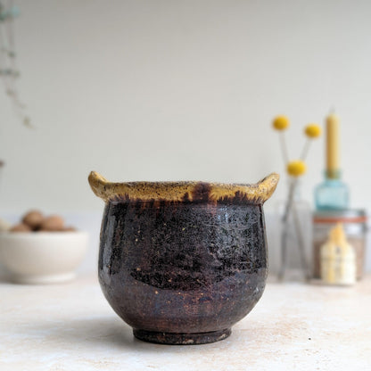 Rustic Purple/Brown and Yellow Plant Pot