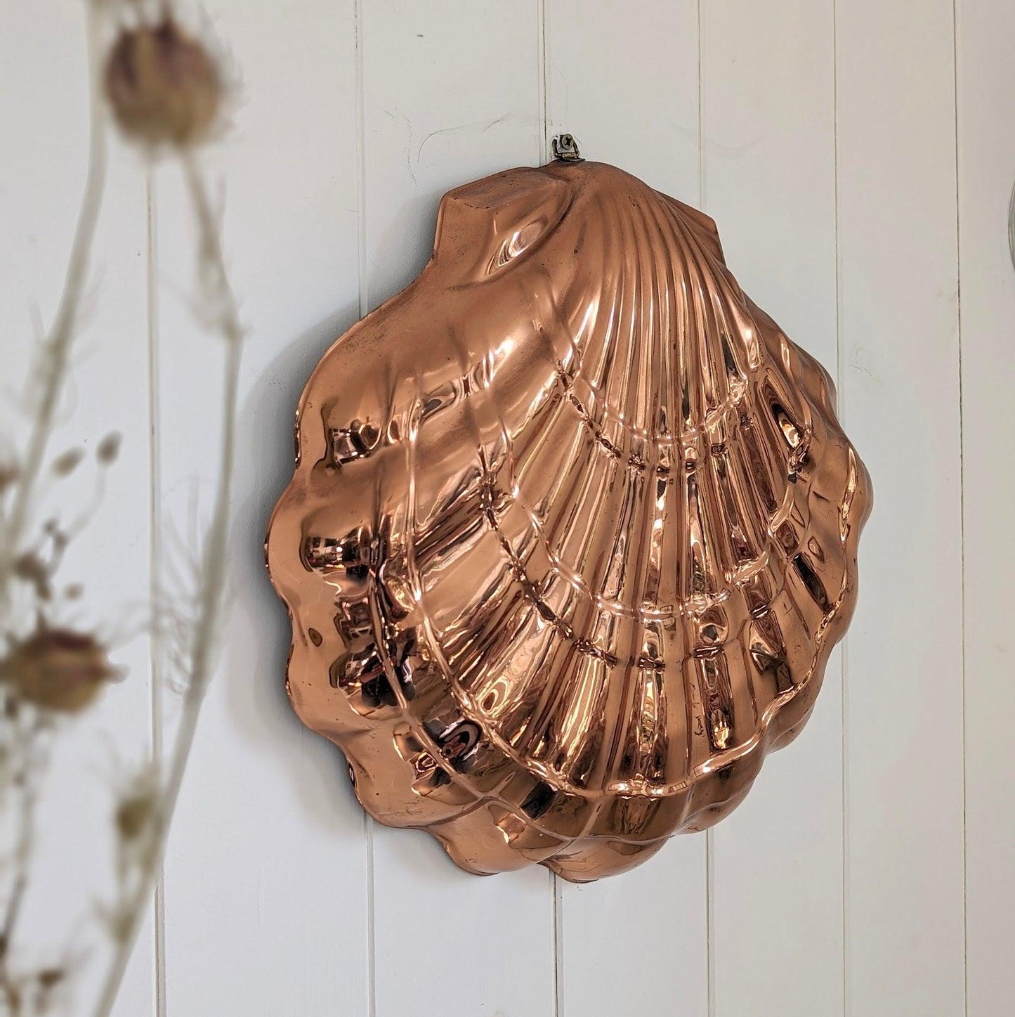 Large Shell Copper Mould - RESERVED