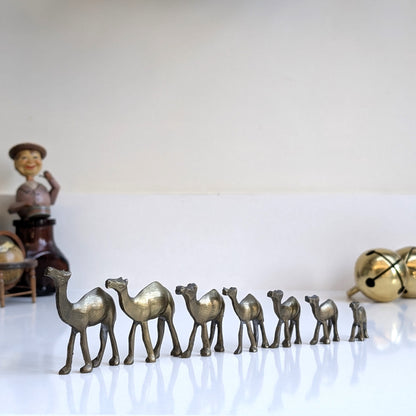 Brass Camel Set (7)