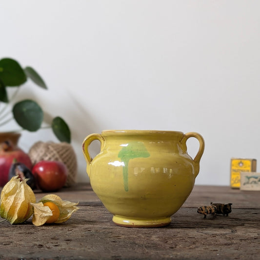 Small Yellow Urn Vase