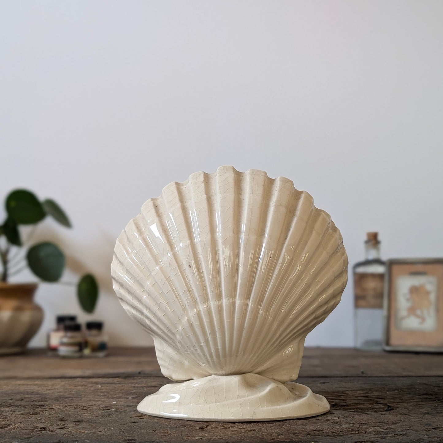 Isles of Scilly Scallop Shell Vase