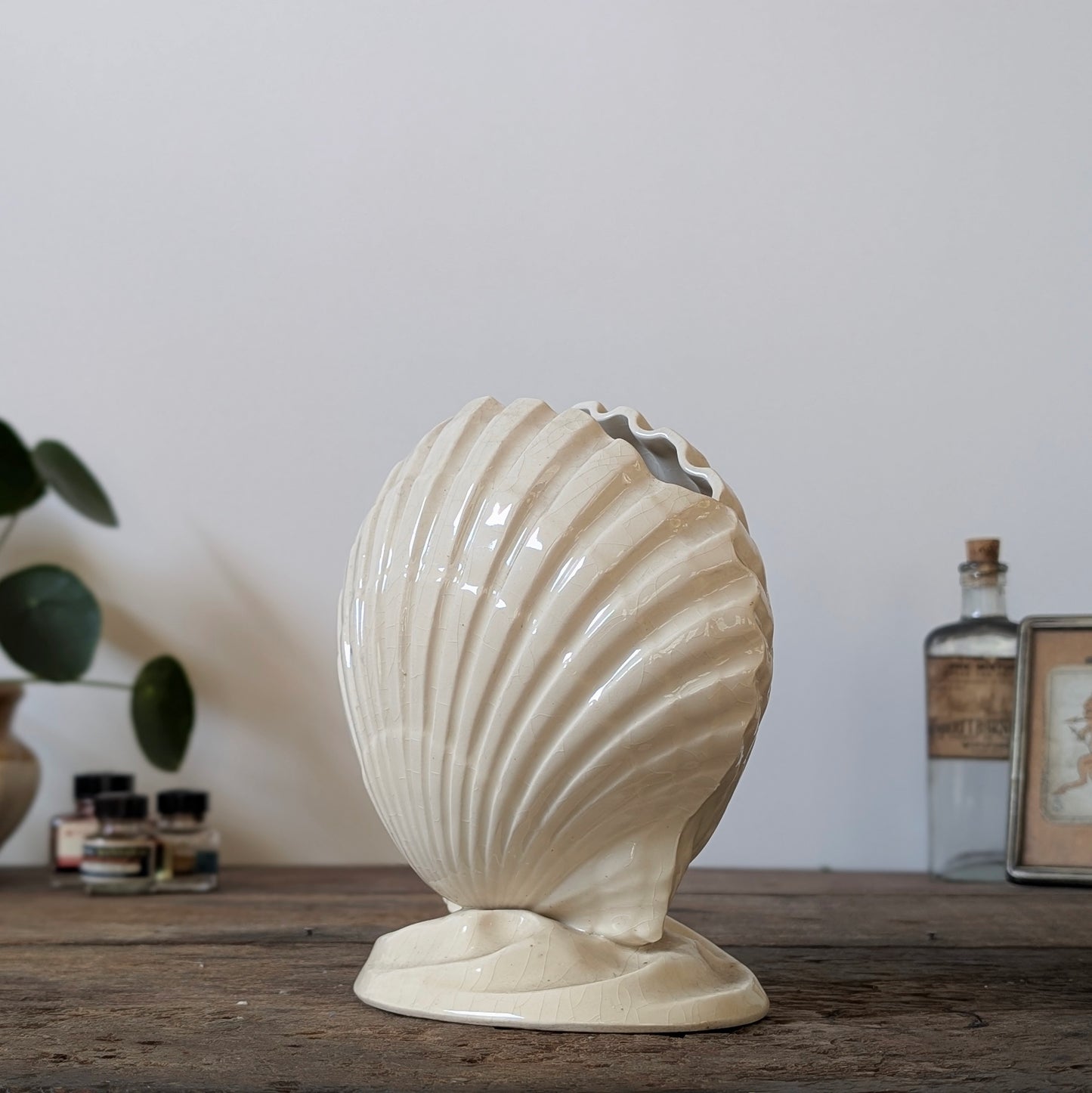 Isles of Scilly Scallop Shell Vase