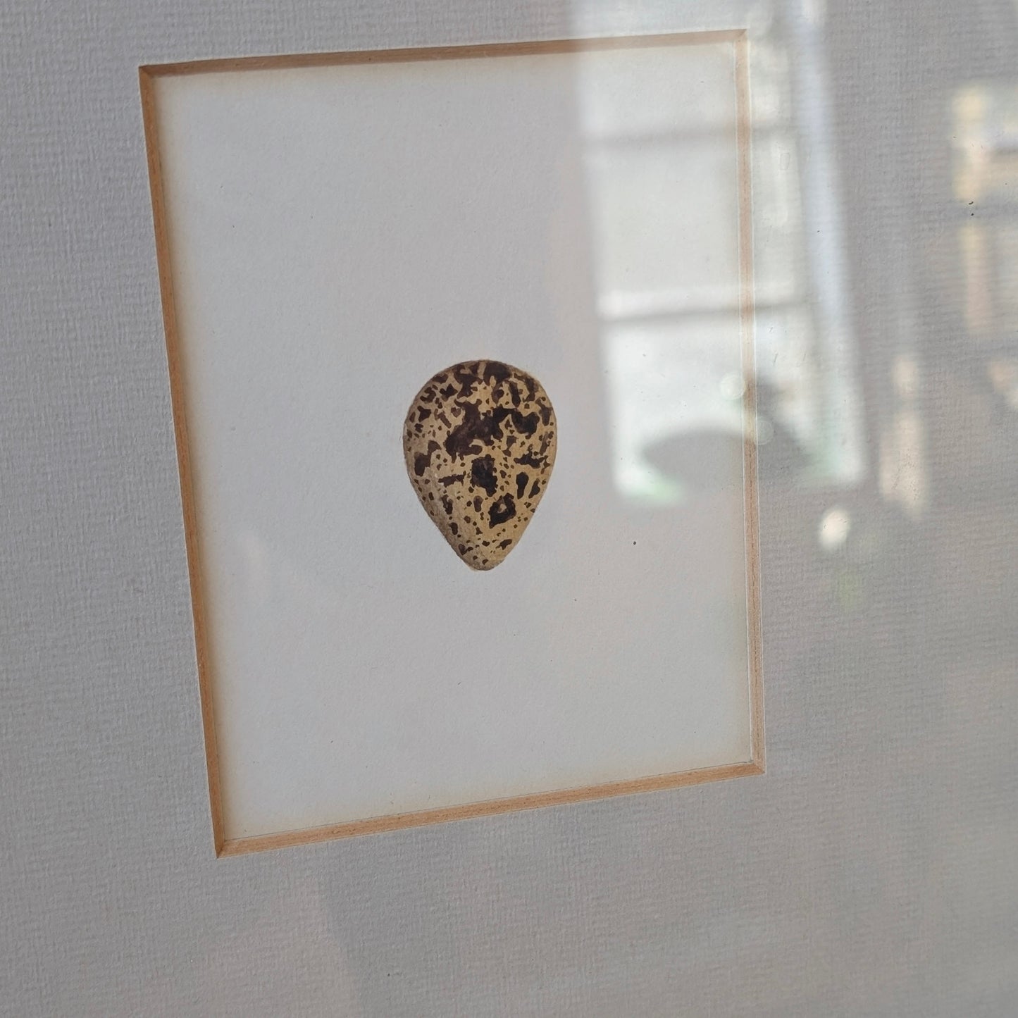 Bird Egg Watercolour/Print (Small Yellow Brown)