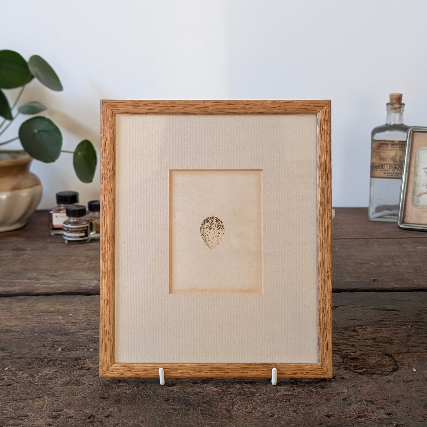 Bird Egg Watercolour/Print (Small White Brown)