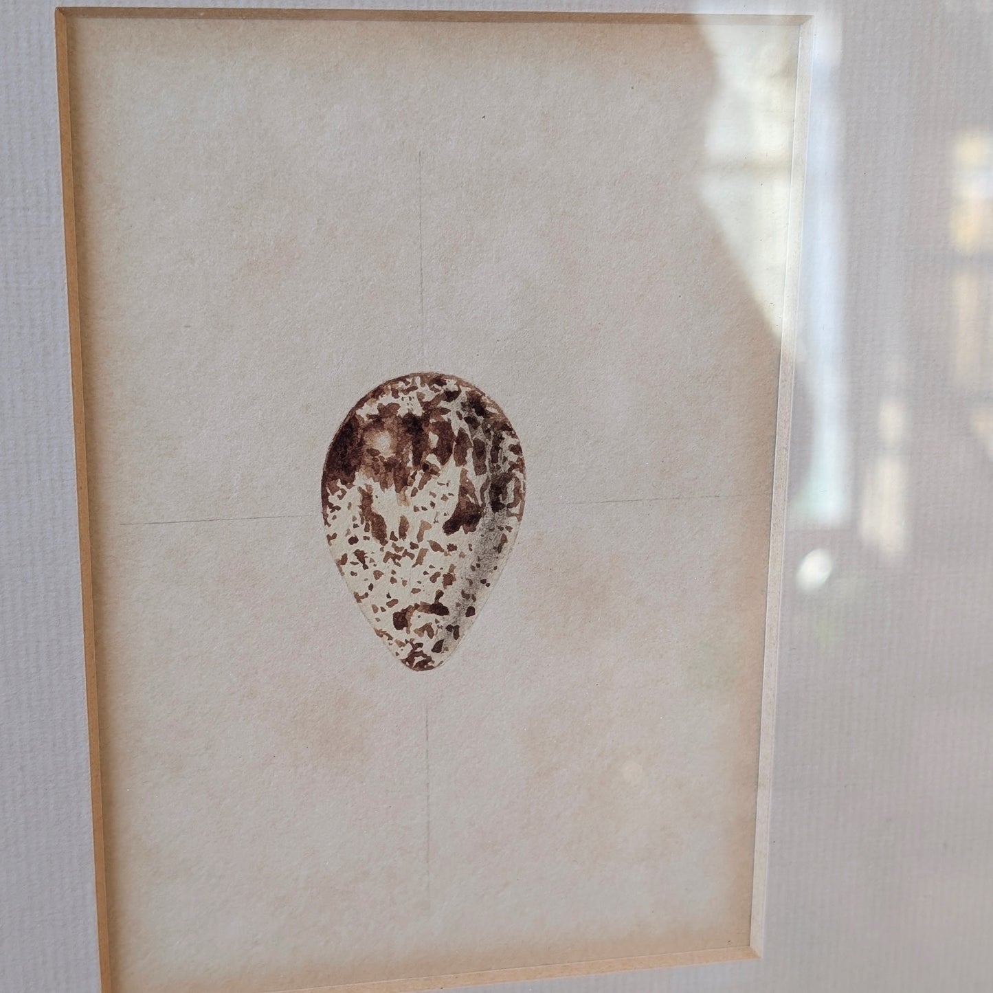 Bird Egg Watercolour/Print (Medium White Brown)