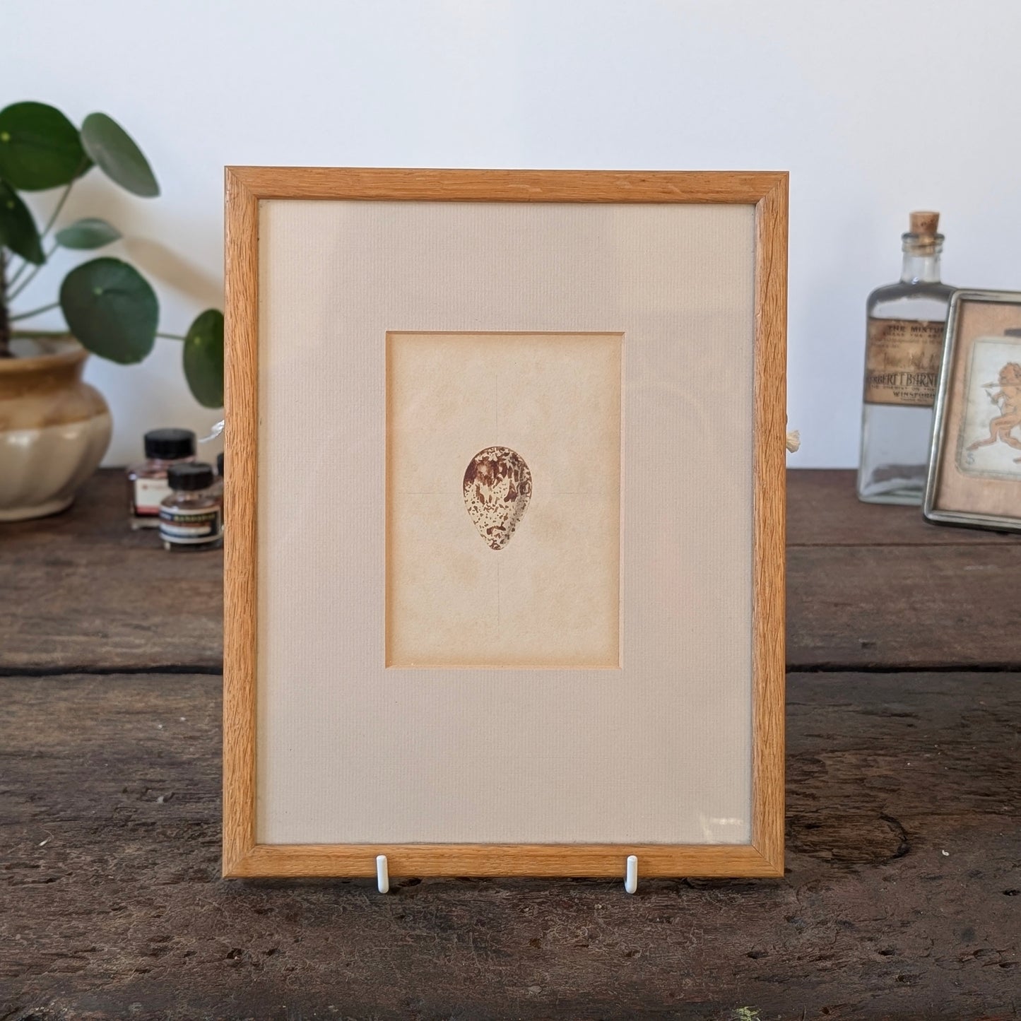 Bird Egg Watercolour/Print (Medium White Brown)