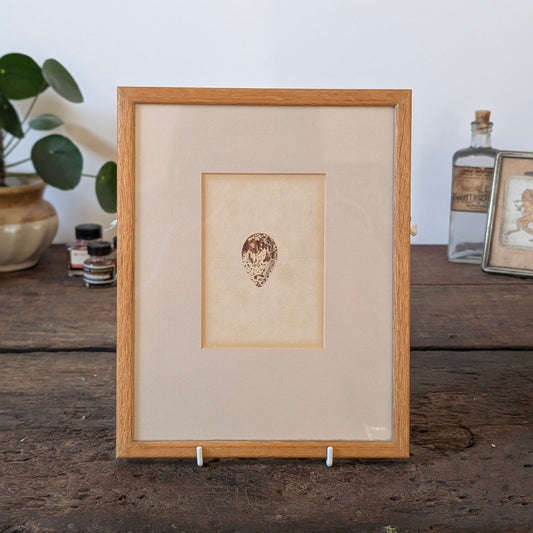 Bird Egg Watercolour/Print (Medium White Brown)