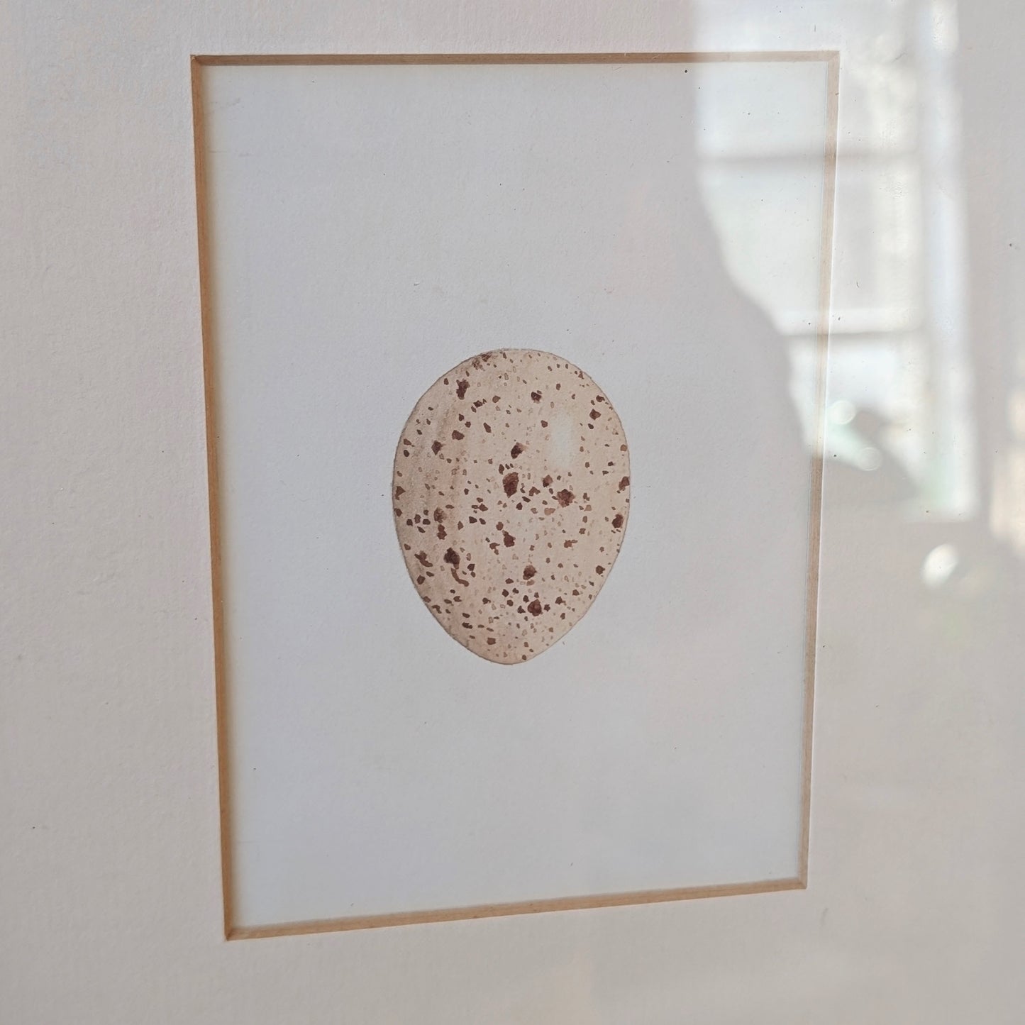 Bird Egg Watercolour/Print (Cream Speckled)