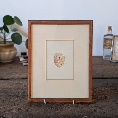 Bird Egg Watercolour/Print (Cream Speckled)