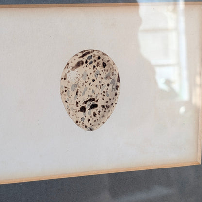 Bird Egg Watercolour/Print (Large Blue)