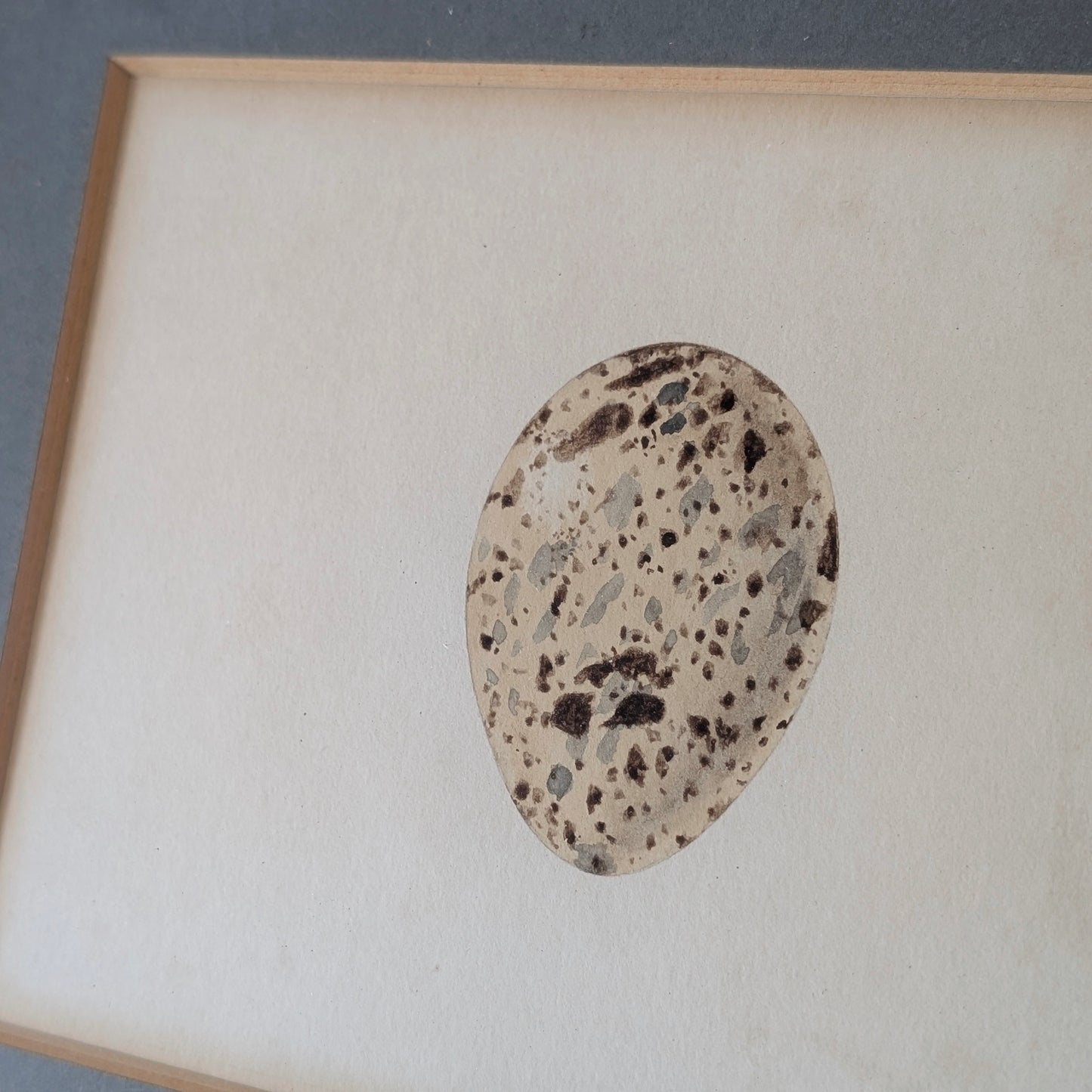 Bird Egg Watercolour/Print (Large Blue)