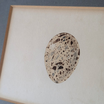 Bird Egg Watercolour/Print (Large Blue)