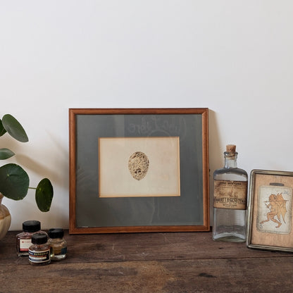 Bird Egg Watercolour/Print (Large Blue)