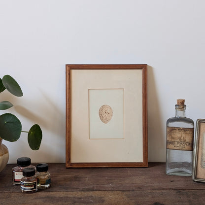 Bird Egg Watercolour/Print (Cream Speckled)