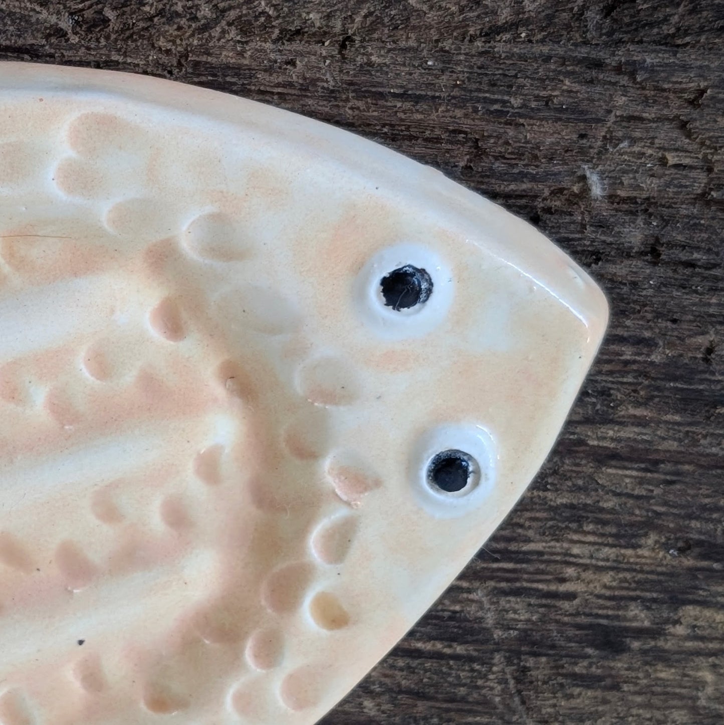 Quirky Fish Soap Dish