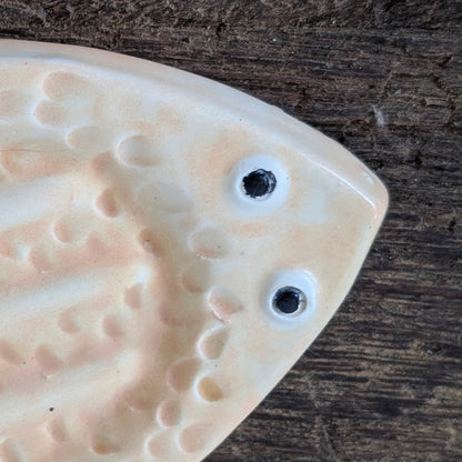 Quirky Fish Soap Dish