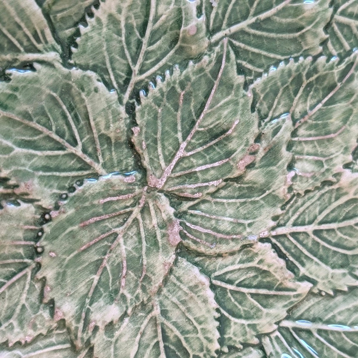 Small Green Majolica Leaf Plate