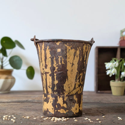 Painted Indian Metal Bucket/Planter