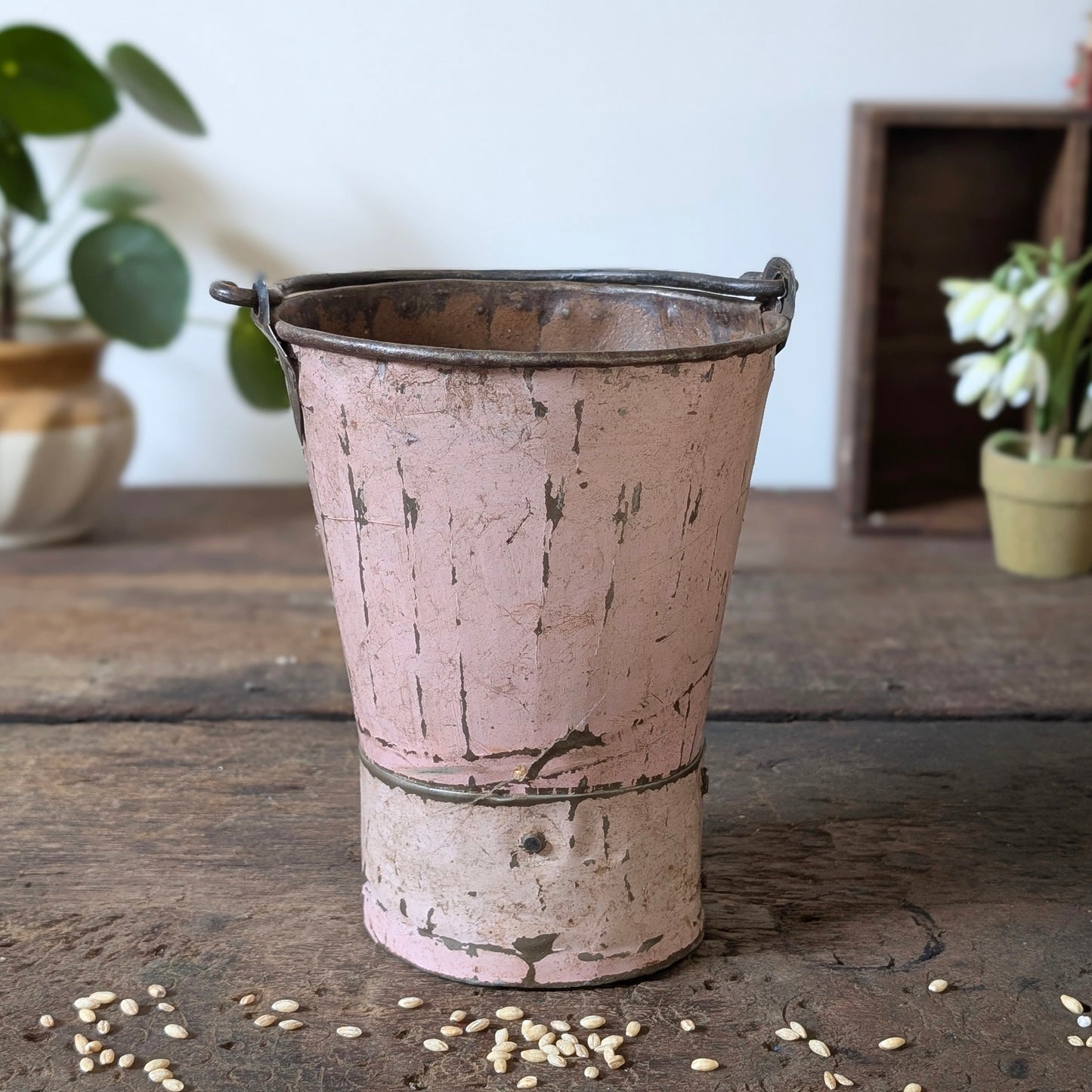 Painted Indian Metal Bucket/Planter