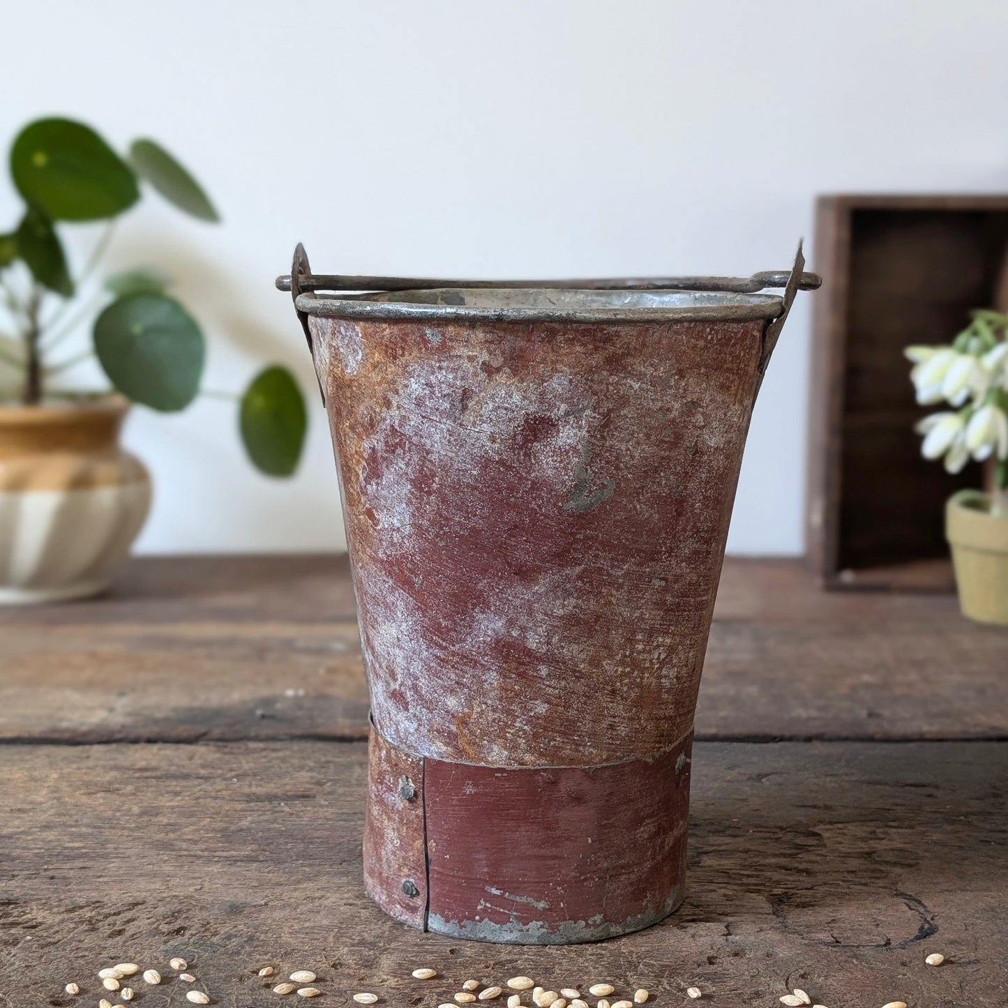 Painted Indian Metal Bucket/Planter