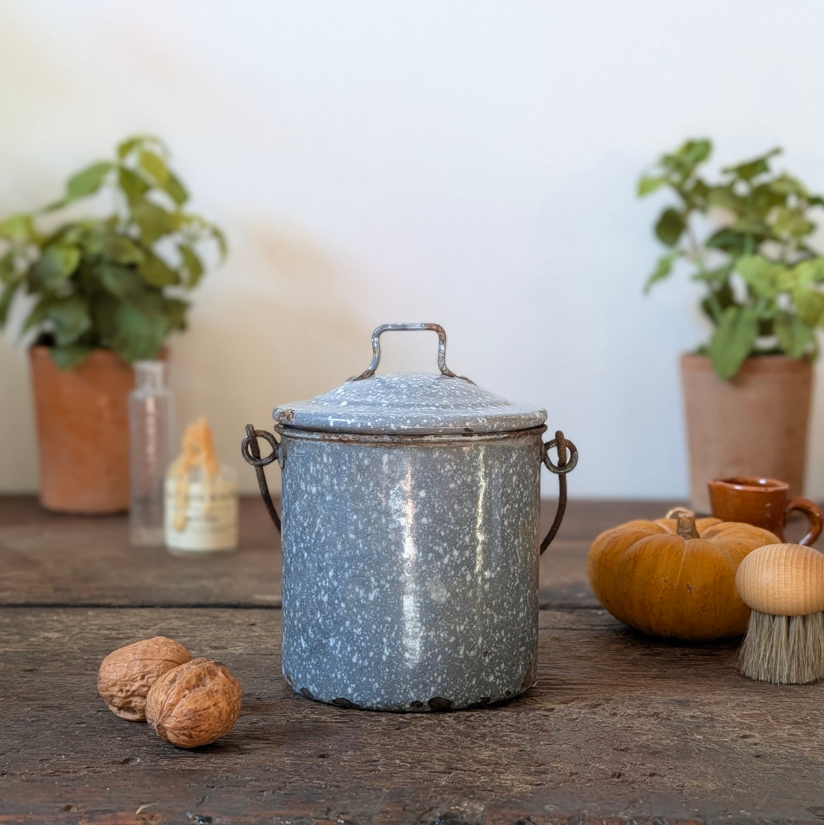 Grey Speckled Enamel Lidded Pail