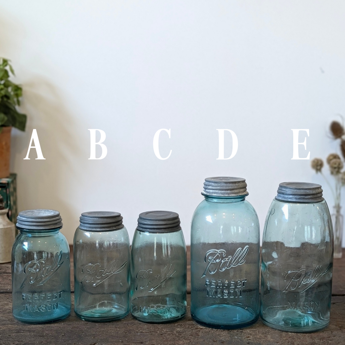 Ball Perfect Mason Jars with Zinc Lids (Sold Individually)