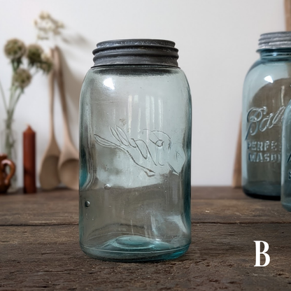 Ball Perfect Mason Jars with Zinc Lids (Sold Individually)
