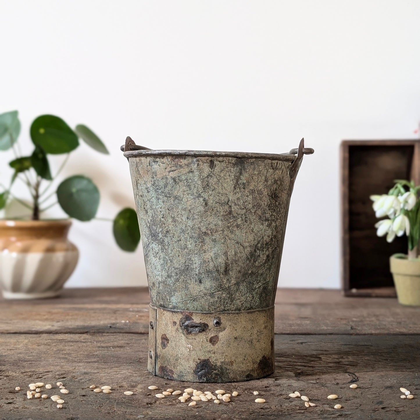 Painted Indian Metal Bucket/Planter