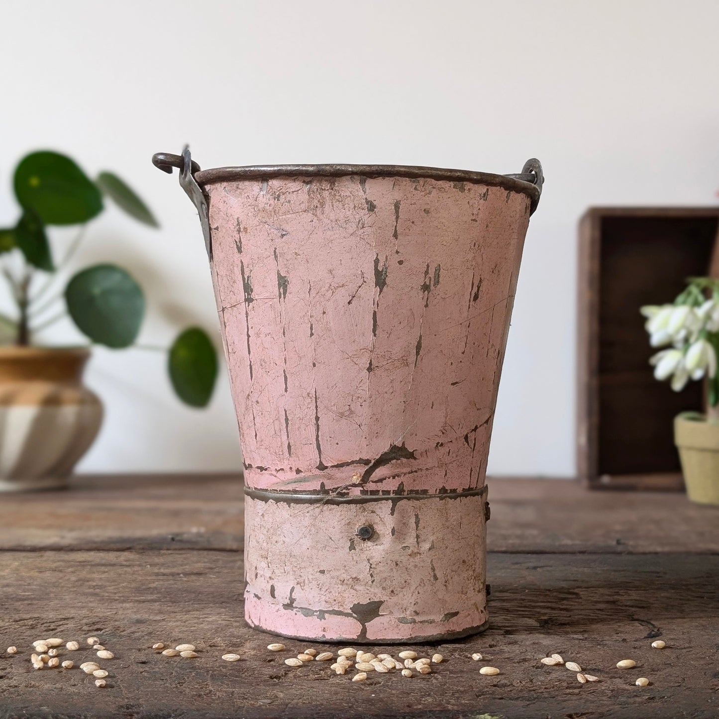 Painted Indian Metal Bucket/Planter