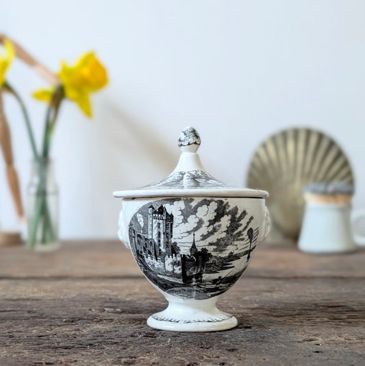 Fine Black Transferware Sugar Pot