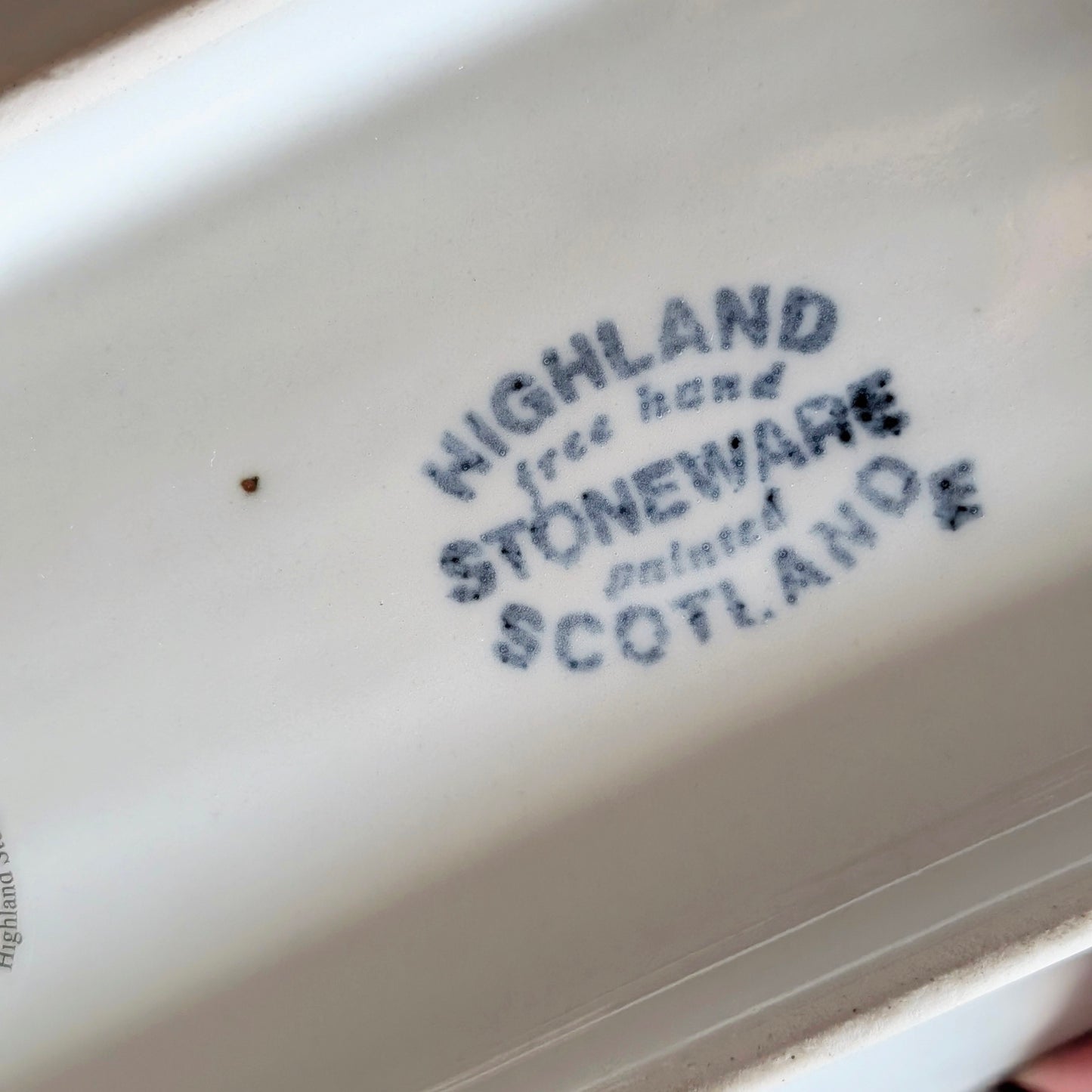 Highland Stoneware Extra Large Salmon Dish Platter