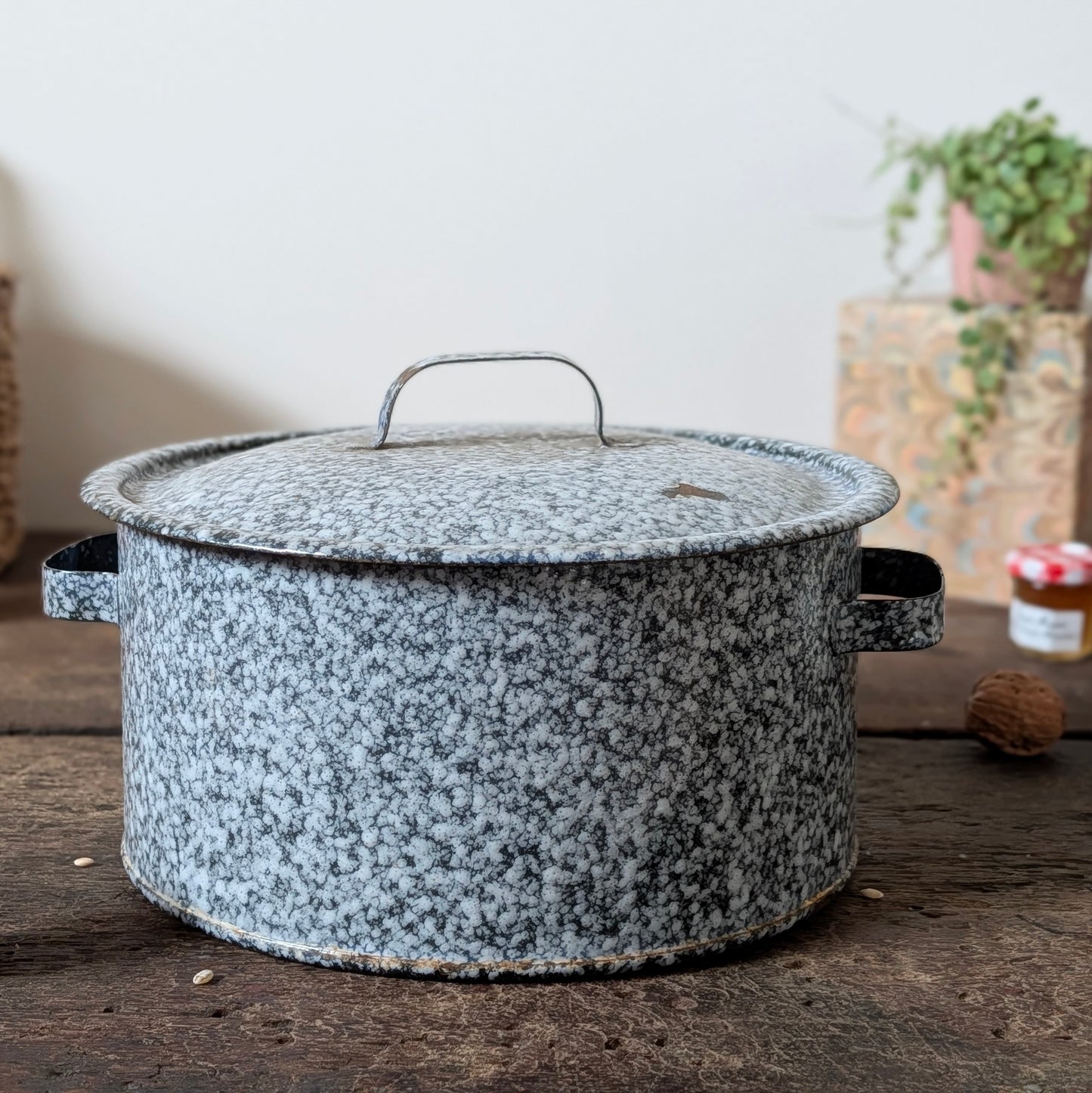 Speckled Enamel Lidded Casserole Pot