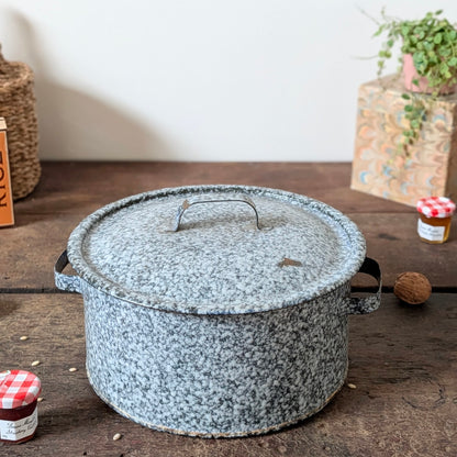 Speckled Enamel Lidded Casserole Pot