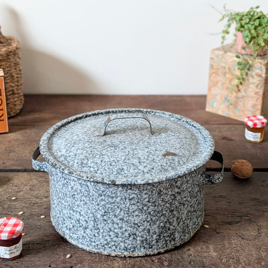 Speckled Enamel Lidded Casserole Pot