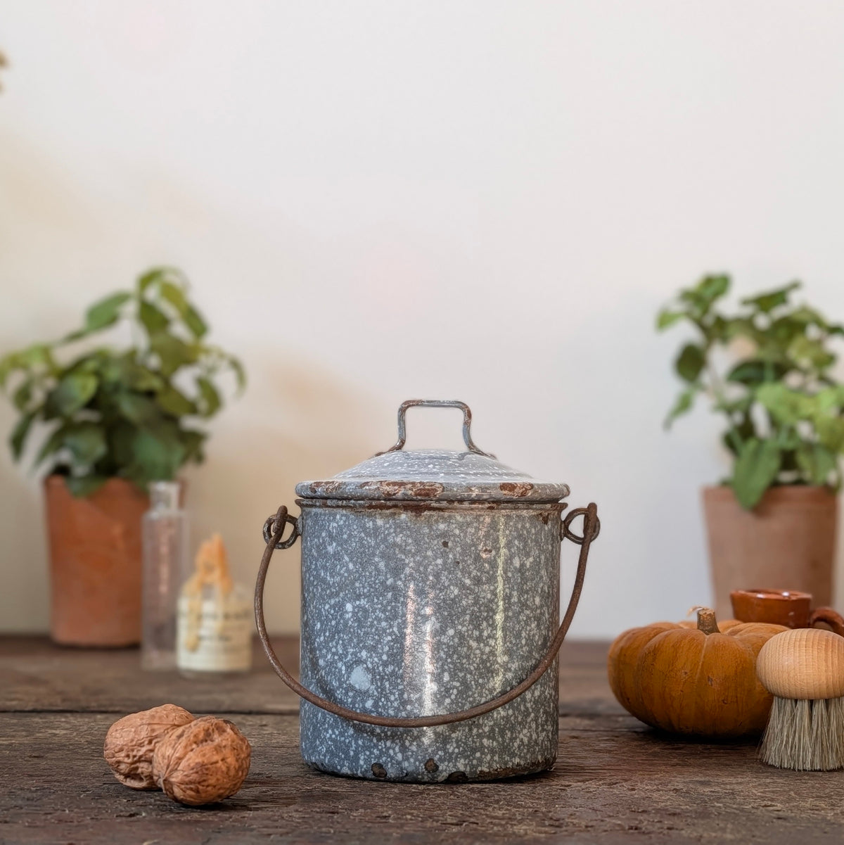 Grey Speckled Enamel Lidded Pail