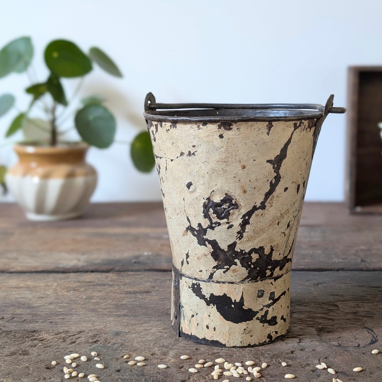 Painted Indian Metal Bucket/Planter