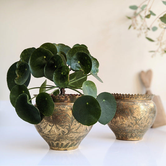 Ornate Brass Planters - Pair