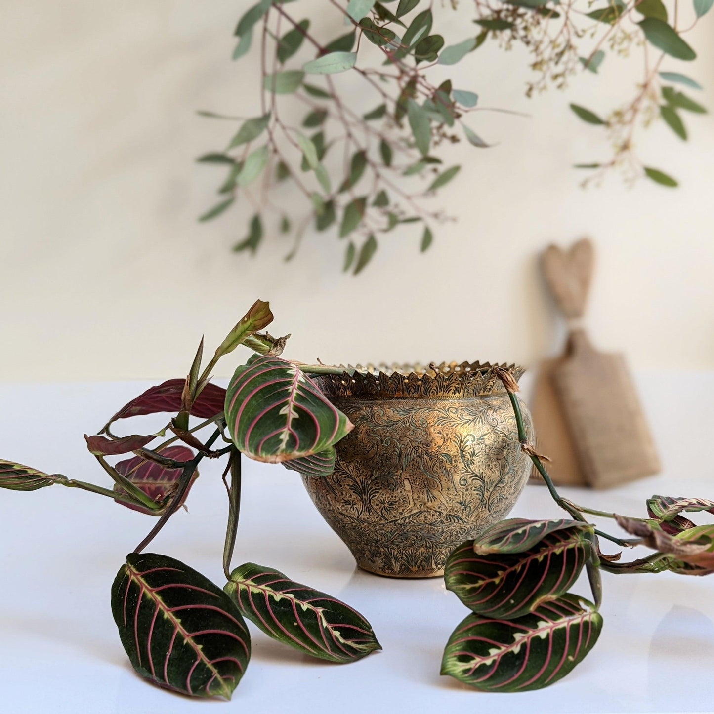 Ornate Brass Planters - Pair